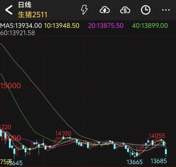 创同配资 美联储，突传重磅！特朗普发声！生猪价格缘何回落？