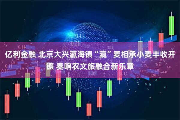 亿利金融 北京大兴瀛海镇“瀛”麦相承小麦丰收开镰 奏响农文旅融合新乐章