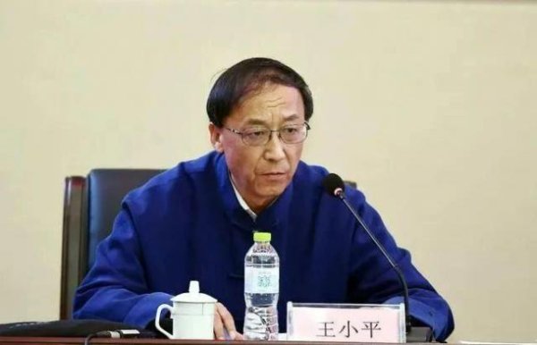 米配资 足坛反腐：王小平，被判刑