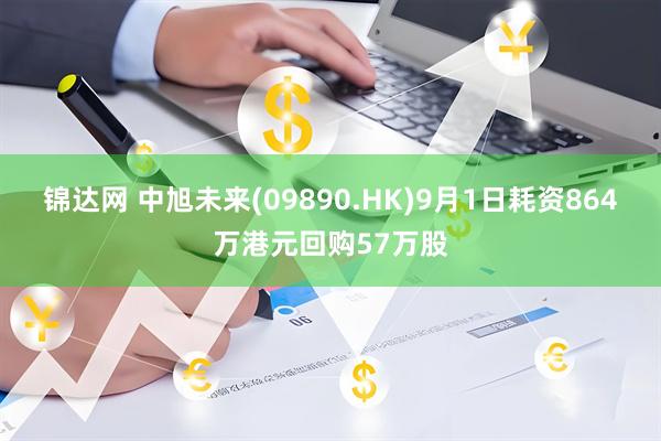 锦达网 中旭未来(09890.HK)9月1日耗资864万港元回购57万股